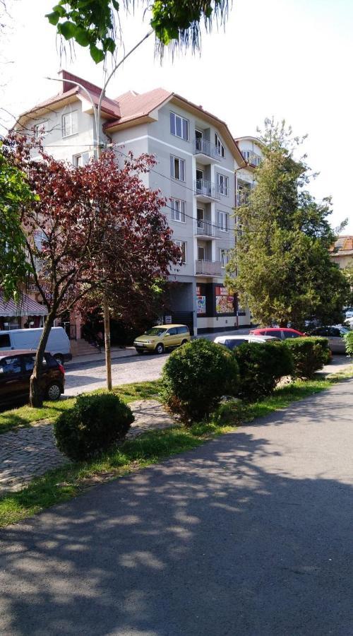 Apartments Domovik Просторная Квартира С Видом На Горы มุกาเชเว ภายนอก รูปภาพ